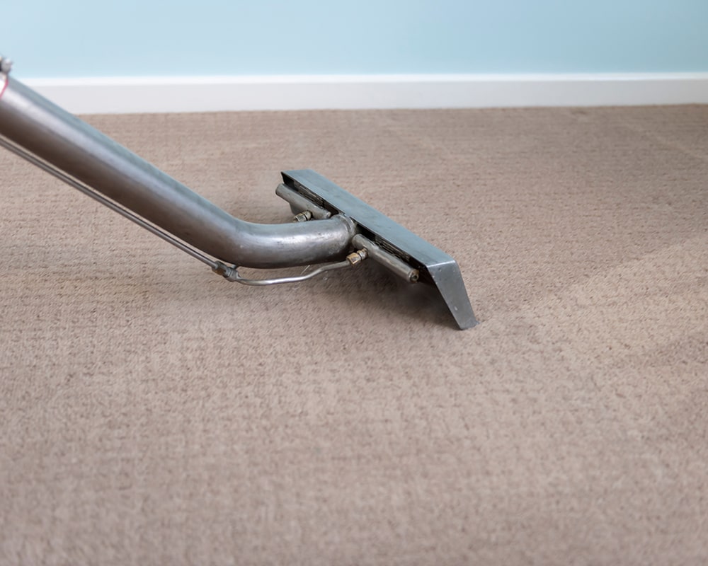 Carpet Cleaning Auburn MA